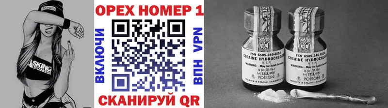Купить закладки  Нолинск  КОКАИН FishScale 