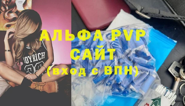 стафф Арсеньев