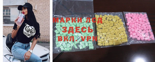 стафф Арсеньев
