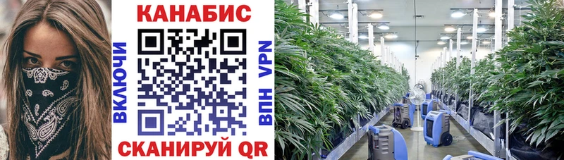 Конопля тримм Нолинск
